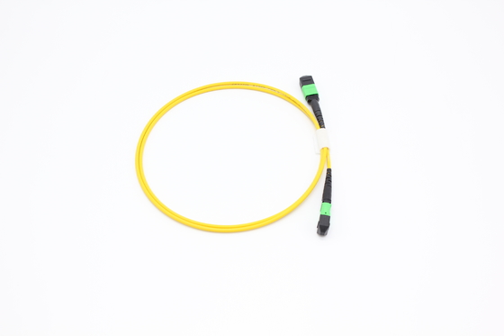 OM3/OM4 MPO Connector 12 Fiber MPO Trunk Cable 8/12/24F MTP MPO Cable Untuk Ruang Pusat Data