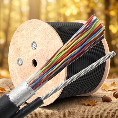 Cat3 Outdoor Kabel telepon dengan kawat baja 100 pasang 200 pasang 50 pasang